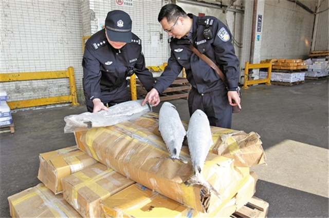 菲律賓凍魚進口報關操作流程手續的指導 菲律賓凍魚進口報關操作流程手續的指導