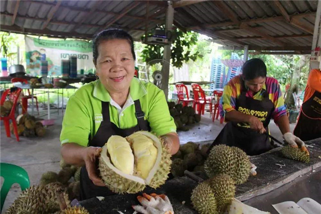 進(jìn)口泰國(guó)榴蓮報(bào)關(guān)這樣操作準(zhǔn)沒(méi)錯(cuò) 進(jìn)口泰國(guó)榴蓮報(bào)關(guān)這樣操作準(zhǔn)沒(méi)錯(cuò)