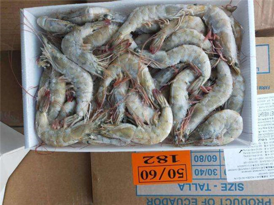 16年經(jīng)驗講解厄瓜多爾白蝦進口報關(guān)清關(guān)稅率流程以及資料 16年經(jīng)驗講解厄瓜多爾白蝦進口報關(guān)清關(guān)稅率流程以及資料