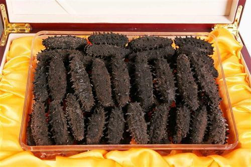 干海參進口清關專業代理流程以及清關路線推薦 干海參進口清關專業代理流程以及清關路線推薦