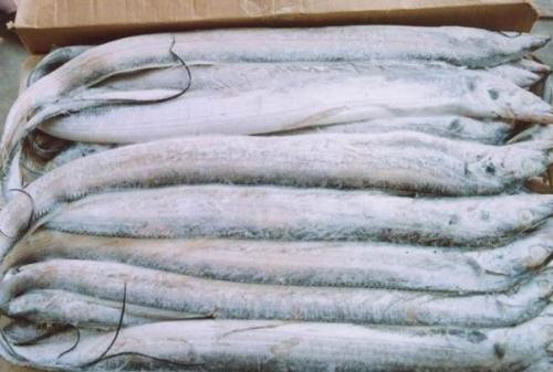 一站式冷凍水產(chǎn)品進(jìn)口報(bào)關(guān)單證及通關(guān)流程 一站式冷凍水產(chǎn)品進(jìn)口報(bào)關(guān)單證及通關(guān)流程