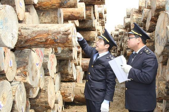 深圳進口報關流程和進口貨物的查驗 深圳進口報關流程和進口貨物的查驗