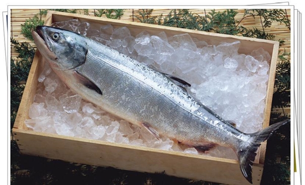 上海水產品進口報關公司 上海水產品進口報關公司