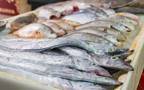 上海水產品進口報關公司 上海水產品進口報關公司