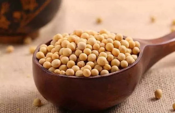 青島港大豆清關找17年經驗的廣東速達公司 青島港大豆清關找17年經驗的廣東速達公司