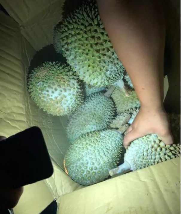 泰國(guó)進(jìn)口榴蓮清關(guān)公司榴蓮報(bào)關(guān)公司 泰國(guó)進(jìn)口榴蓮清關(guān)公司榴蓮報(bào)關(guān)公司