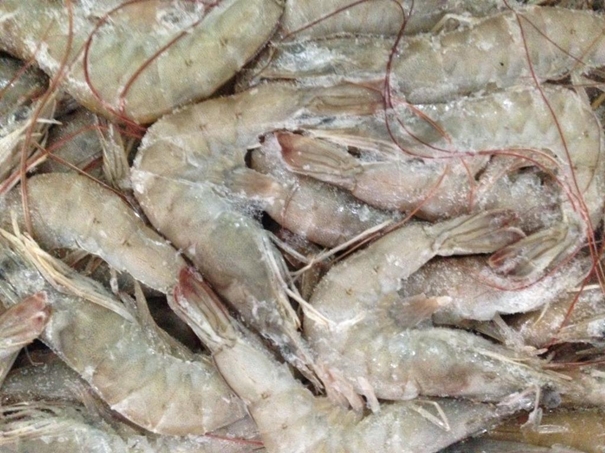 冷凍水產品進口清關資料簡介進口水產品標簽問題 冷凍水產品進口清關資料簡介進口水產品標簽問題