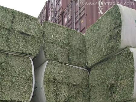 苜蓿草東莞進口清關手續文件有這些！