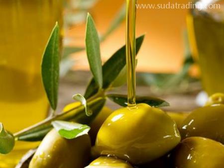 橄欖油機場進口代理報關操作要多久？