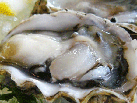 廣州清關代理公司教你生蠔進口報關操作！