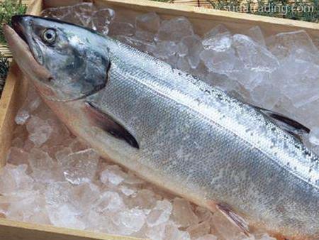 進口水產品清關少了這些資料可不行！