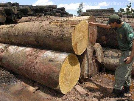 木材進(jìn)口報(bào)關(guān)有這些單證資料要提交！