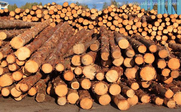 了解木材進(jìn)口報(bào)關(guān)注意事項(xiàng)避雷區(qū) 了解木材進(jìn)口報(bào)關(guān)注意事項(xiàng)避雷區(qū)