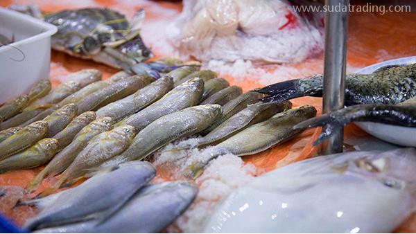 來看看如何輕松水產品進口清關！