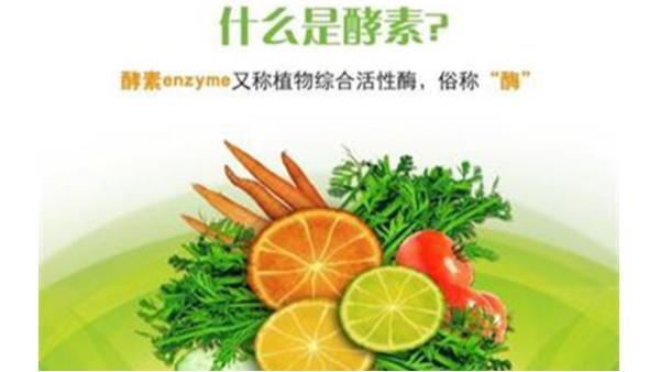 酵素進口報關流程