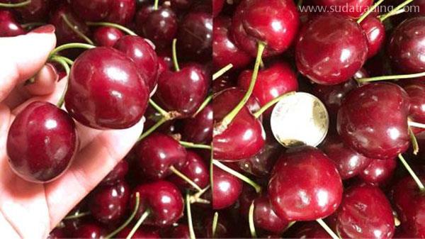 如何進(jìn)口車?yán)遄訄箨P(guān)？全在這里了~