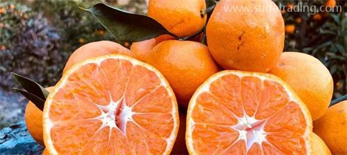 部分動植物產品規范申報要素調整詳解 部分動植物產品規范申報要素調整詳解