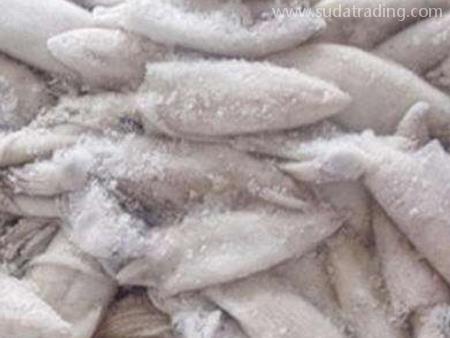 深圳鹽田進口清關冷凍魷魚報檢要求！