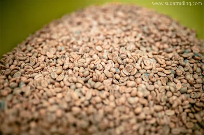 咖啡生豆進口關(guān)稅進口咖啡生豆報關(guān)稅率 咖啡生豆進口關(guān)稅進口咖啡生豆報關(guān)稅率