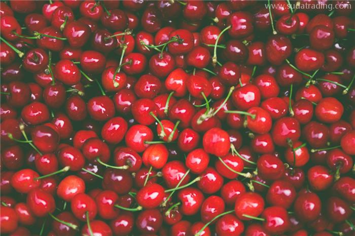 智利車厘子進口報關如何操作?2023年如何進口車厘子 智利車厘子進口報關如何操作?2023年如何進口車厘子