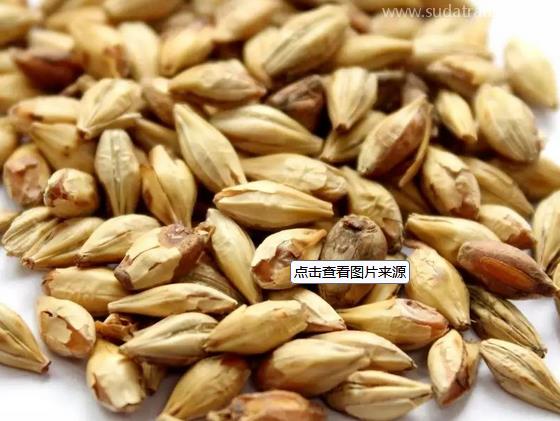 肉豆蔻進口報關要求 肉豆蔻進口報關要求