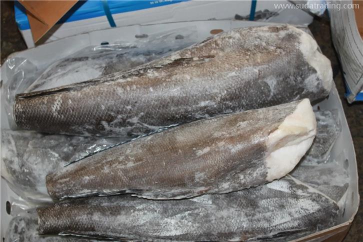 冷凍水產品進口報關公司水產品報關流程 冷凍水產品進口報關公司水產品報關流程