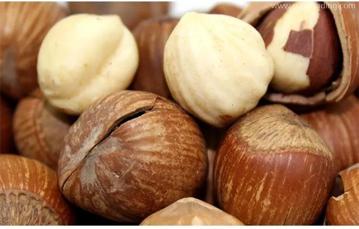 帶殼堅果進口清關需要的資質以及資料 帶殼堅果進口清關需要的資質以及資料