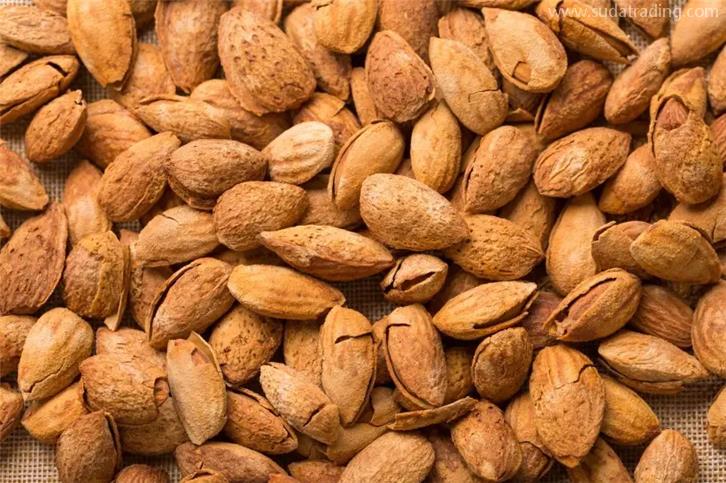 帶殼堅果進口清關需要的資質以及資料 帶殼堅果進口清關需要的資質以及資料