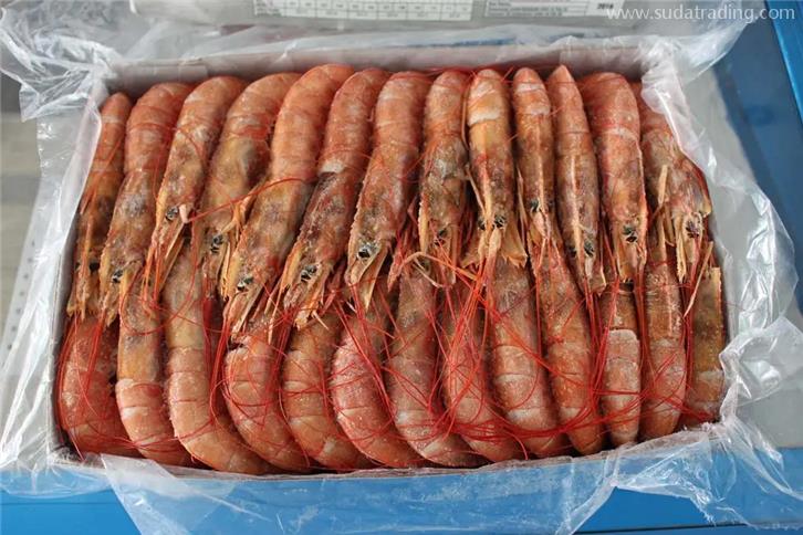 進口印度尼西亞海鮮報關(guān)的關(guān)稅以及費用 進口印度尼西亞海鮮報關(guān)的關(guān)稅以及費用