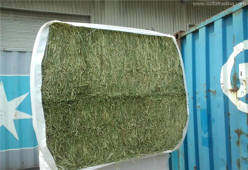 苜蓿草進口報關代理公司帶你了解進口苜蓿草相關知識