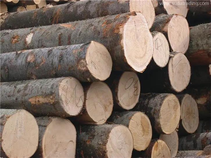 連云港進口木材報關一般貿易流程