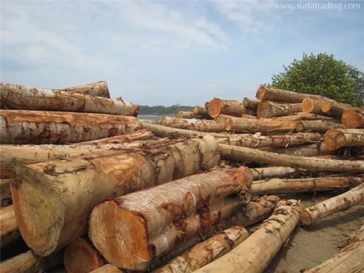 連云港進口木材報關一般貿易流程