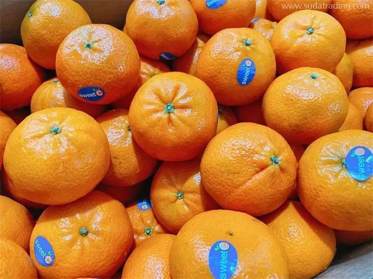 進口巴基斯坦柑橘報關公司 進口巴基斯坦柑橘報關公司