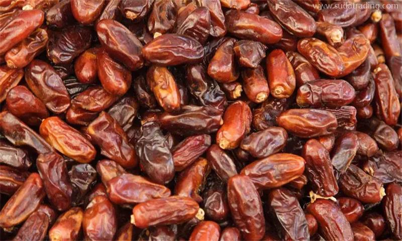 沙特阿拉伯干椰棗進口報關的注意事項,看就知道了 沙特阿拉伯干椰棗進口報關的注意事項,看就知道了