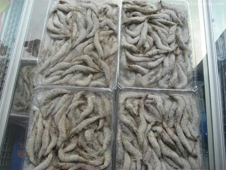 天津冷凍產品進口報關公司 天津冷凍產品進口報關公司