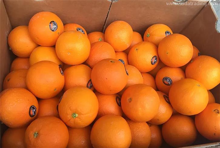 上海黃浦報關(guān)行推薦哪家比較好? 上海黃浦報關(guān)行推薦哪家比較好?