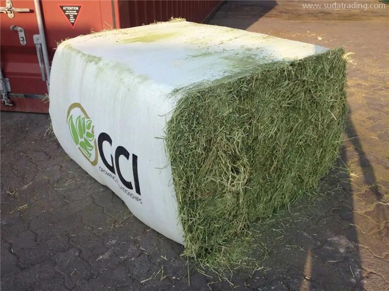 天津飼料苜蓿草報關行:進口苜蓿草報關資料 天津飼料苜蓿草報關行:進口苜蓿草報關資料