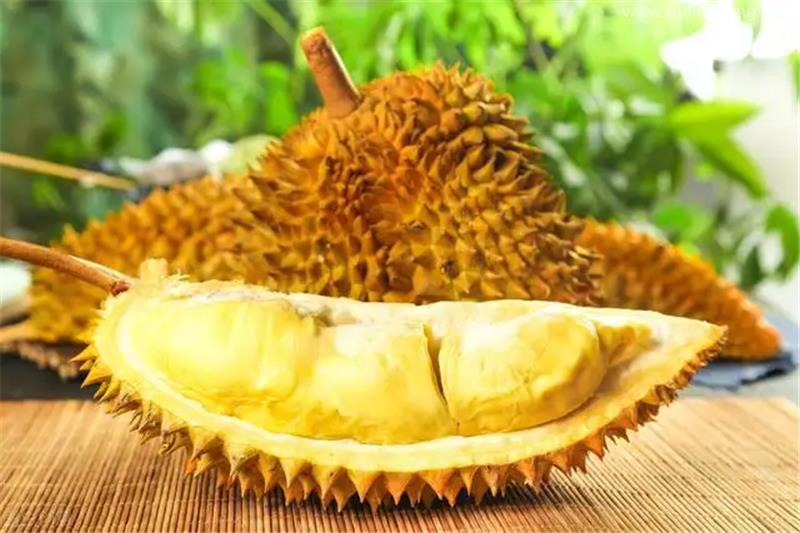 干貨!進(jìn)口越南新鮮榴蓮清關(guān)需注意這些 干貨!進(jìn)口越南新鮮榴蓮清關(guān)需注意這些