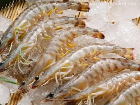 水產(chǎn)品深圳機(jī)場(chǎng)進(jìn)口清關(guān)代理資料如下! 水產(chǎn)品深圳機(jī)場(chǎng)進(jìn)口清關(guān)代理資料如下!