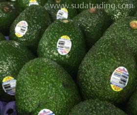 進口新西蘭牛油果油報關預審所需資料