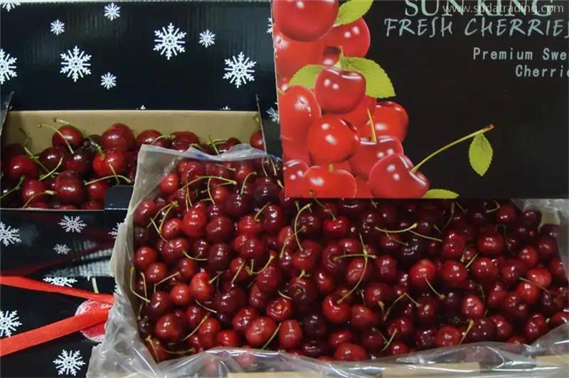 北京水果進口報關(guān)公司推薦哪家代理服務(wù) 北京水果進口報關(guān)公司推薦哪家代理服務(wù)