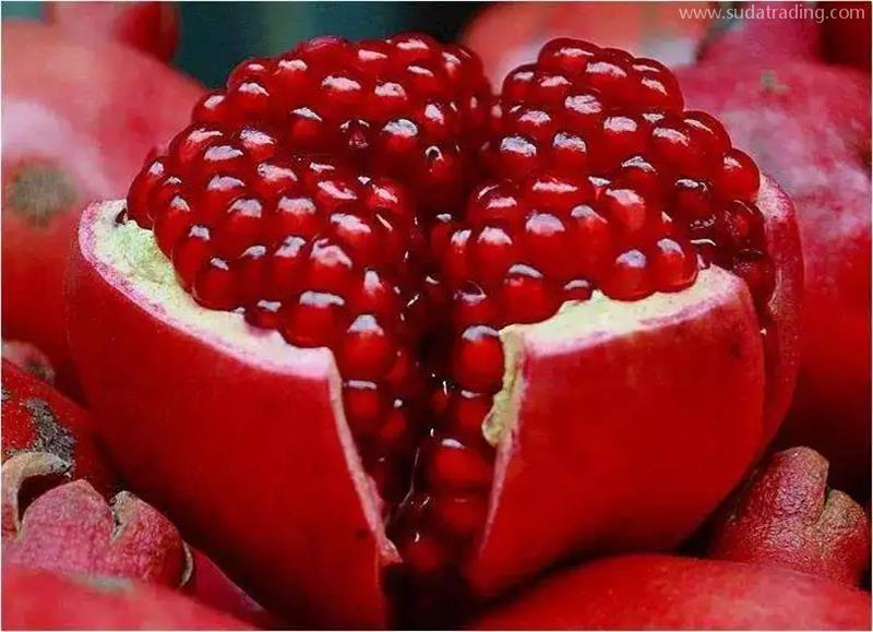 埃及石榴進口清關石榴進口報關清關流程手續 埃及石榴進口清關石榴進口報關清關流程手續