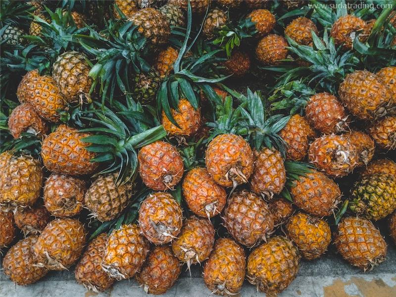 上海進口印度尼西亞菠蘿報關的流程資料 上海進口印度尼西亞菠蘿報關的流程資料