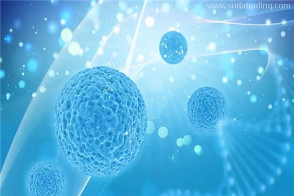 鋰礦石進口報關流程及關稅是多少？「清關攻略」