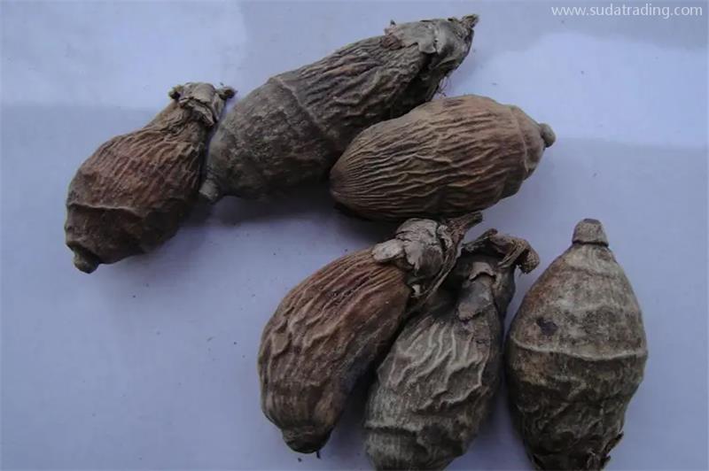 進口印尼檳榔報關稅率進口藥材檳榔干的關稅 進口印尼檳榔報關稅率進口藥材檳榔干的關稅