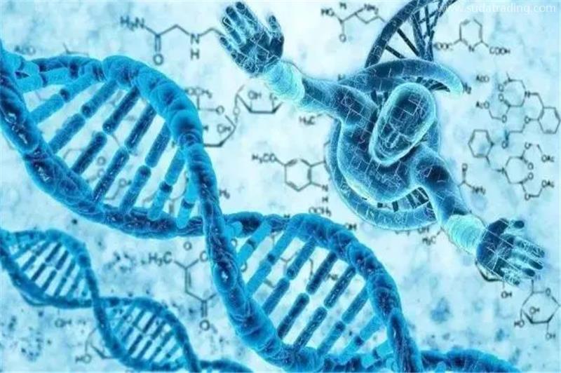 進口測試細胞報關(guān)要求進口動物細胞資質(zhì)要求 進口測試細胞報關(guān)要求進口動物細胞資質(zhì)要求