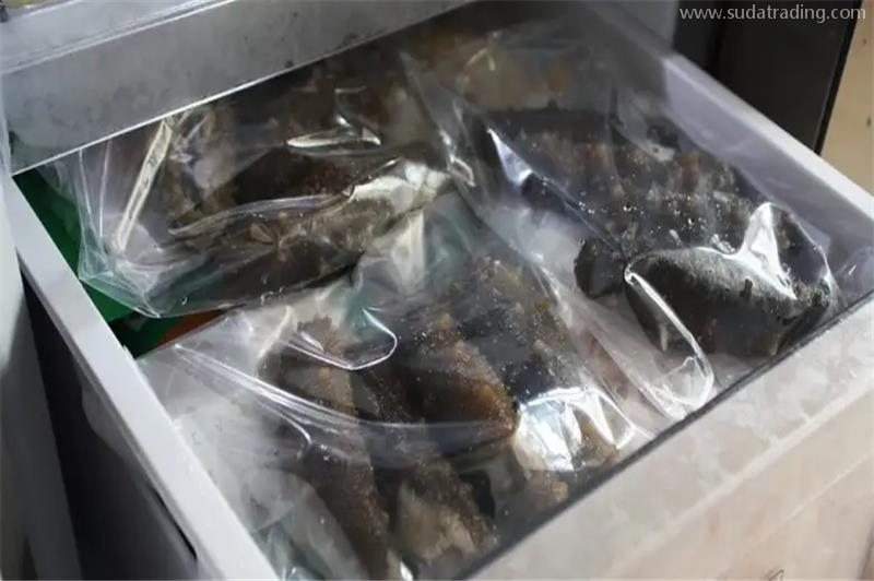 一站式印尼海參進口報關代理的流程 一站式印尼海參進口報關代理的流程