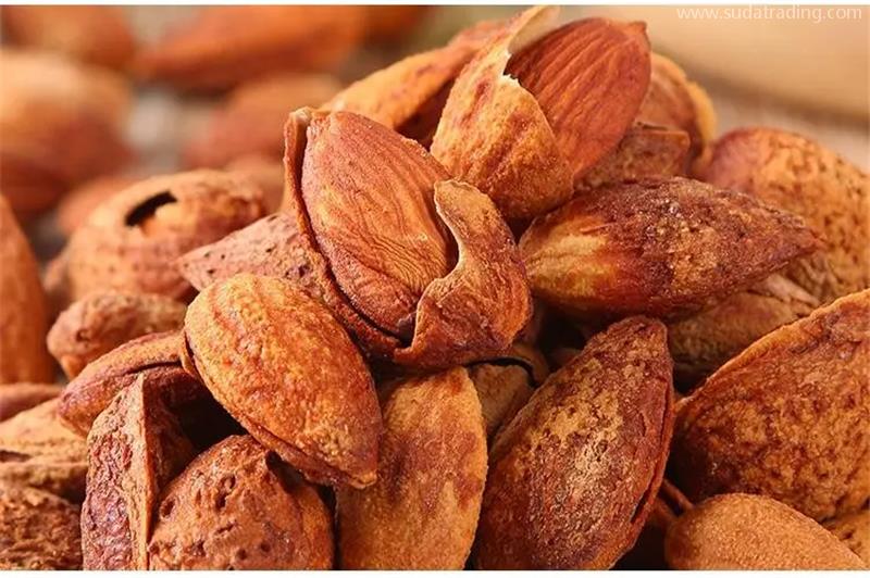 進(jìn)口巴基斯坦干果報關(guān)一般貿(mào)易進(jìn)口服務(wù) 進(jìn)口巴基斯坦干果報關(guān)一般貿(mào)易進(jìn)口服務(wù)