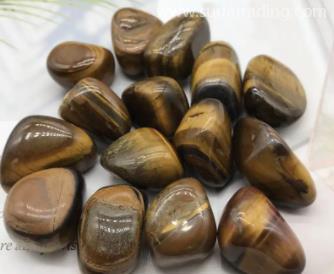 上海進口德國危化品報關的注意事項 上海進口德國危化品報關的注意事項