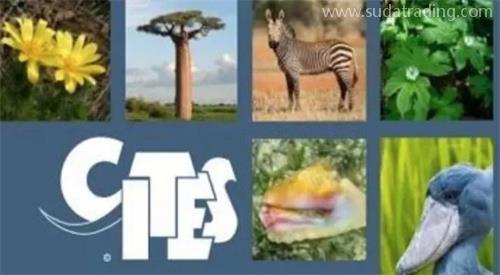 瀕危野生動植物及其產品進出口小知識 瀕危野生動植物及其產品進出口小知識